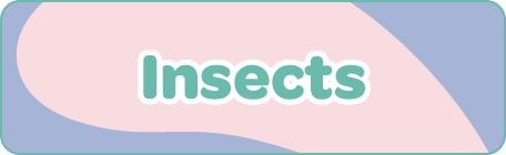 Insects