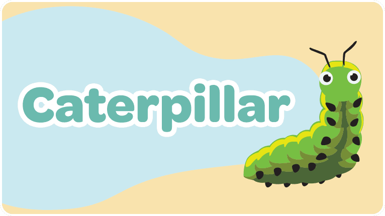 Caterpillar