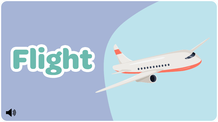 Flight