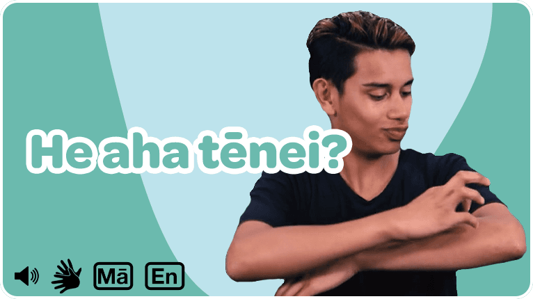 He aha tēnei? - NZSL, English and Te Reo Māori