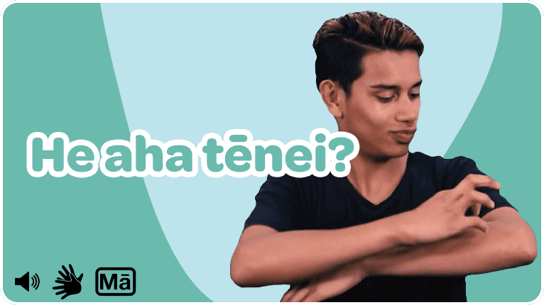 He aha tēnei? - NZSL and Te Reo Māori