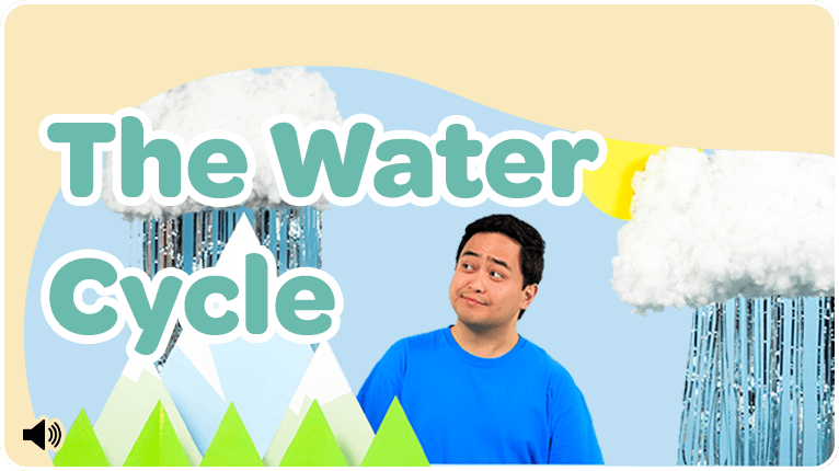 The Water Cycle